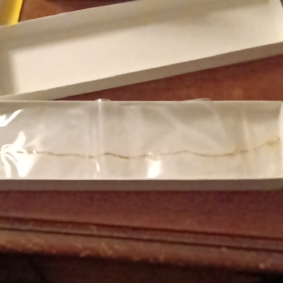 Delicate Solid Gold Chain Anklet - Picture 1 of 5